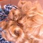 BEAUTIFUL BISQUE PORCELAIN ADELCO DOLL 14' W/STAND CHECKERED OUTFIT