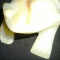 CHARMING ONYX MARBLE FROG FIGURINE PAPERWEIGHT PAKISTAN
