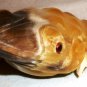 BEAUTIFUL HAND CARVING HORN BONE FROG KOREA