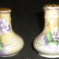 ANTIQUE PORCELAIN HANDPAINTED VIOLETS DAISIES SIGNED SALT & PEPPER AUSTRIA