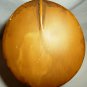STUNNING VINTAGE NEFERTITI PHARAOH BUST FIGURINE FROM EGYPT