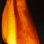 VINTAGE UNIQUE CARVED WOOD DUCK BIRD ROTATING LID TOOTHPICK HOLDER CONCEALED