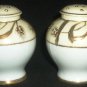 ANTIQUE HANDPAINTED GOLD GILDED NIPPON JAPAN SALT & PEPPER SHAKERS