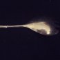 VINTAGE SILVERPLATE VEGETABLE SERVER SPOON SPORK LONG HANDLE
