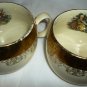 COLLECTIBLE CREST O GOLD GERMANY VINTAGE SET/2 TEA CUPS HANDPAINTED 22K GILTED