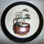 TERRA COASTERS ABSORBENT WITH RIM GOLF DESIGN MADE IN USA NEW BOX CORK LINED