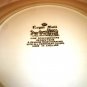 ROYAL MAIL FINE STAFFORDSHIRE IRONSTONE 10" BROWN DINNER PLATE ENGLAND