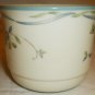 LENOX CHINASTONE COUNTRY COTTAGE COURTYARD TEA COFFEE CUP & SAUCER SET