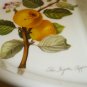 PORTMEIRION POMONA LAUREL DIVIDED OVAL VEGETABLE BOWL INGESTRIE PIPPIN HOARY APP