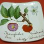 VINTAGE METAL HANDPAINTED AUSTRIA FR DECORATIVE RED CURRANT & CHERRY PLATE SET 2