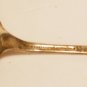 VINTAGE COMMEMORATIVE FIRST COLONY SILVERPLATED CAKE PIE SERVER SPATULA ROGERS