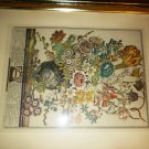 HAND COLORED ENGRAVED BY FLETCHER MARCH  FROM THE COLLECTION OF ROB FARBER