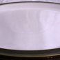 DENBY ENGLAND FREEZER MICROWAVE OVEN DISHWASHER SAFE 10.5 DINNER PLATE BLACK WHT