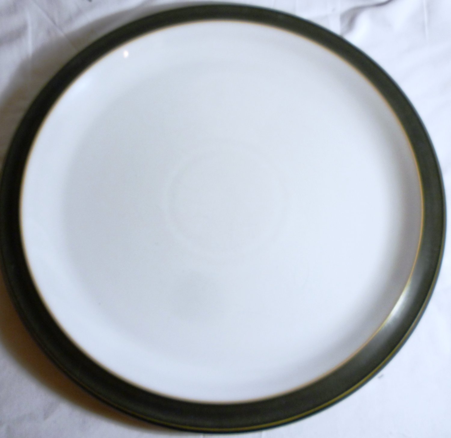 DENBY ENGLAND FREEZER MICROWAVE OVEN DISHWASHER SAFE 10.5 DINNER PLATE