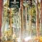 CHRISTIE'S EAST AMERICAN PAINTINGS 1995 CATALOG