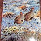 CHRISTIE'S WATERCOLOURS AND PICTURES OF BIRDS 1996 CATALOG