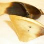 BEAUTIFUL HORN CARVING FIGURINE BIRD 62