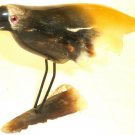 BEAUTIFUL HORN CARVING FIGURINE BIRD 65