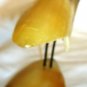 BEAUTIFUL HORN CARVING FIGURINE BIRD 2