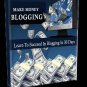 Make Money Blogging Learn To Succeed In Blogging In 30 Days