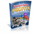 Domain Names Profits