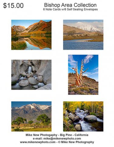 Bishop Note Card Collection Set