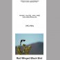 Bird Note Card Collection Set