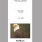 Bald Eagle Note Card