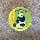 Authentic Vintage London Zoo Panda Bear Pin Button Badge 1980