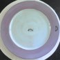 Anime Plate Periwinkle Robin Egg Blue Center Dinner Plate Charger