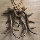 Decorative Antlers Vegan Taxidermy Rare Find