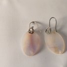 shell drops