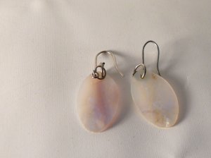 shell drops