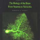 The Biology of the Brain: From Neurons to Networks