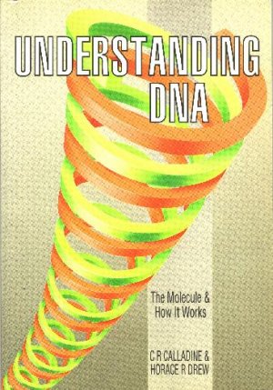 Understanding DNA: The Molecule and How It Works