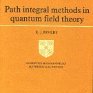 Path Integral Methods in Quantum Field Theory