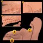 Free shipping 16â silicone real sex doll MIYU love male Masturbator 3 hole japan