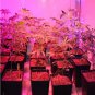 54W E27 LED Grow Light for Flowers Plant and Hydroponic System,
