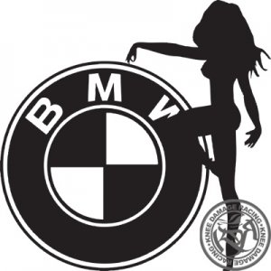 Sexy Babe BMW