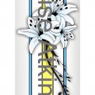 Plant Design 1