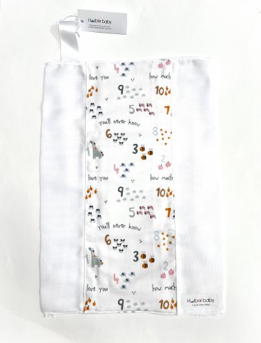 COUNT HOW MUCH I LOVE YOU- Handmade Burp Cloth/Cloth Diaper   ONE SIZE