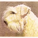 SEALYHAM TERRIER ---- Matted Vintage COZZAGLIO Print