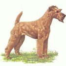 IRISH TERRIER ---- Matted Vintage COZZAGLIO Print