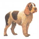 SPINONE ITALIANO ---- Matted Vintage COZZAGLIO Print
