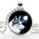 Silver Arctic Wolf Pendant Necklace - Full Moon White Dog Photo Pendant Art Gift