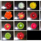 Clip on Flowers