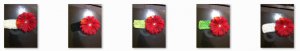 Flower Headband - 20
