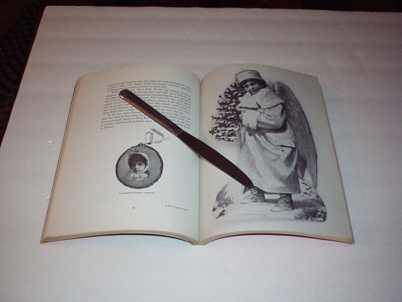 The Christmas Tree Book (The History of the Christmas Tree & Ornaments