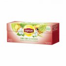 Lipton GO GO GINGER Apple Cinnamon & Citrus Flavor Fruit Tea 25 Teabags Box- From Europe