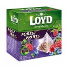 LOYD Forest Fruits Flavored Fruit Tea Boxed 40 Silk Pyramids From Europe